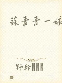 苏青青一嫁三夫