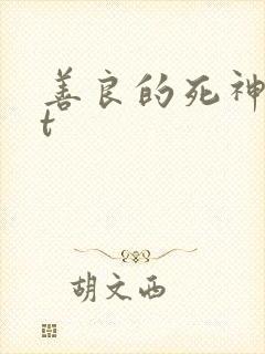 善良的死神txt