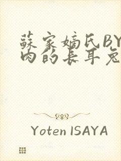 苏家嫡氏BY吃肉的长耳兔