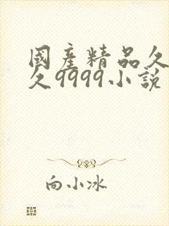 国产精品久久久久9999小说