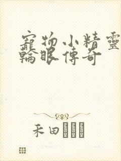 宠物小精灵之写轮眼传奇封面