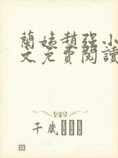 兰姨赵强小说全文免费阅读