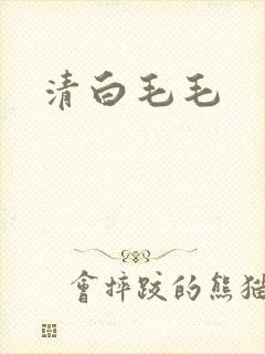 清白毛毛