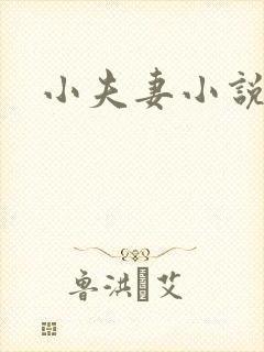 小夫妻小说