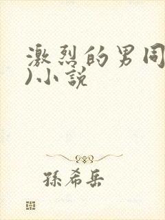激烈的男同(h)小说封面
