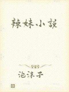 辣妹小说封面