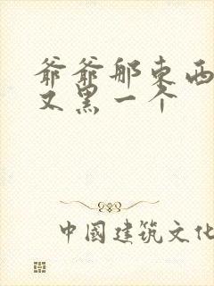 爷爷那东西又大又黑一个封面