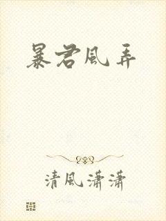 暴君风弄封面