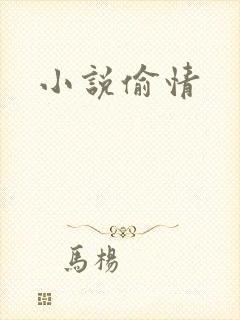 小说偷情封面