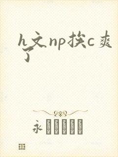 h文np挨c爽了封面