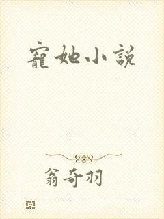 宠她小说