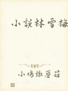 小说林雪梅