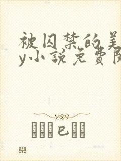 被囚禁的美人by小说免费阅读
