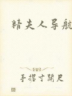 精夫人导航