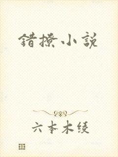 错撩小说封面