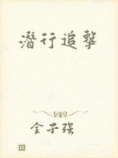 潜行追击