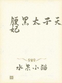 腹黑太子天降萌妃