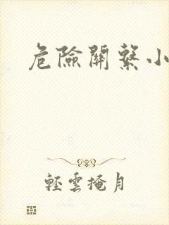 危险关系小说