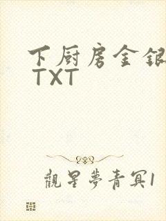 下厨房金银花露 TXT封面