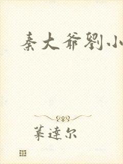 秦大爷刘小静