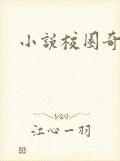 小说校园奇侠