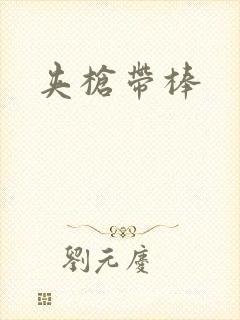 夹枪带棒封面