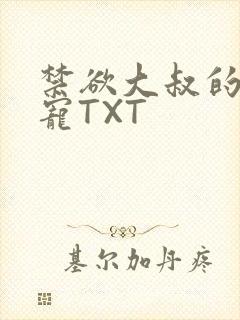 禁欲大叔的心尖宠TXT
