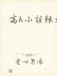 高h小说辣文封面