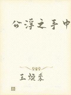 公浮之手中字5封面