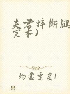 夫君摔断腿后(完本)