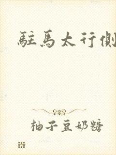 驻马太行侧