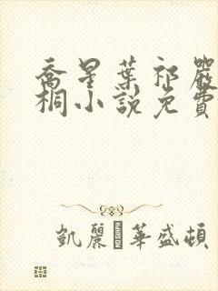 乔星叶祁严梁雨桐小说免费阅读封面