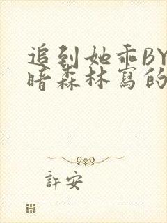 追到她乖BY黑暗森林写的小说