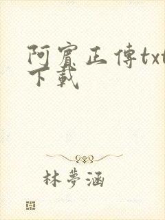 阿宾正传txt下载