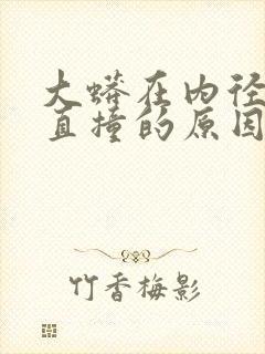 大蟒在内径横冲直撞的原因封面