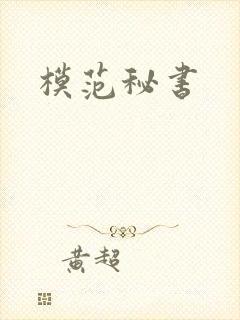 模范秘书封面