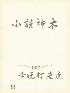 小说神木