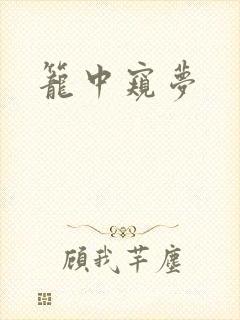 笼中窥梦封面