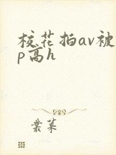 校花拍av被np高h