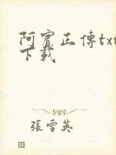 阿宾正传txt下载