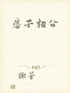 痞子相公封面