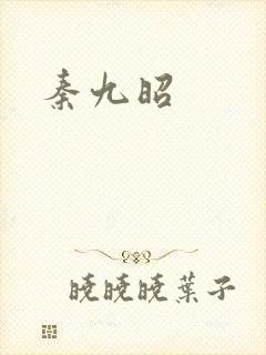 秦九昭封面