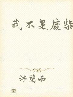 我不是废柴