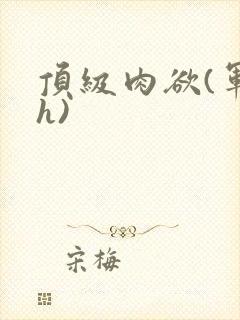 顶级肉欲(军高h)