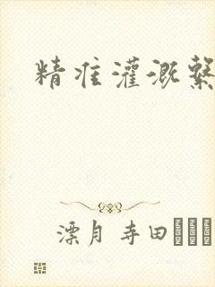 精准灌溉系统封面