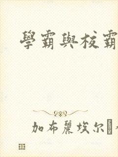 学霸与校霸