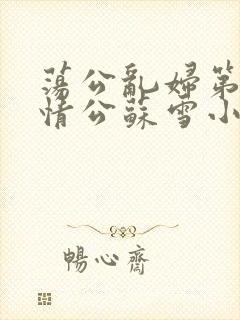荡公乱妇第1章情公苏雪小说
