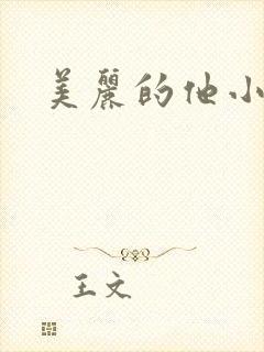 美丽的他小说