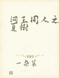 网王同人之桃生夏树