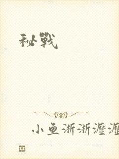 秘战